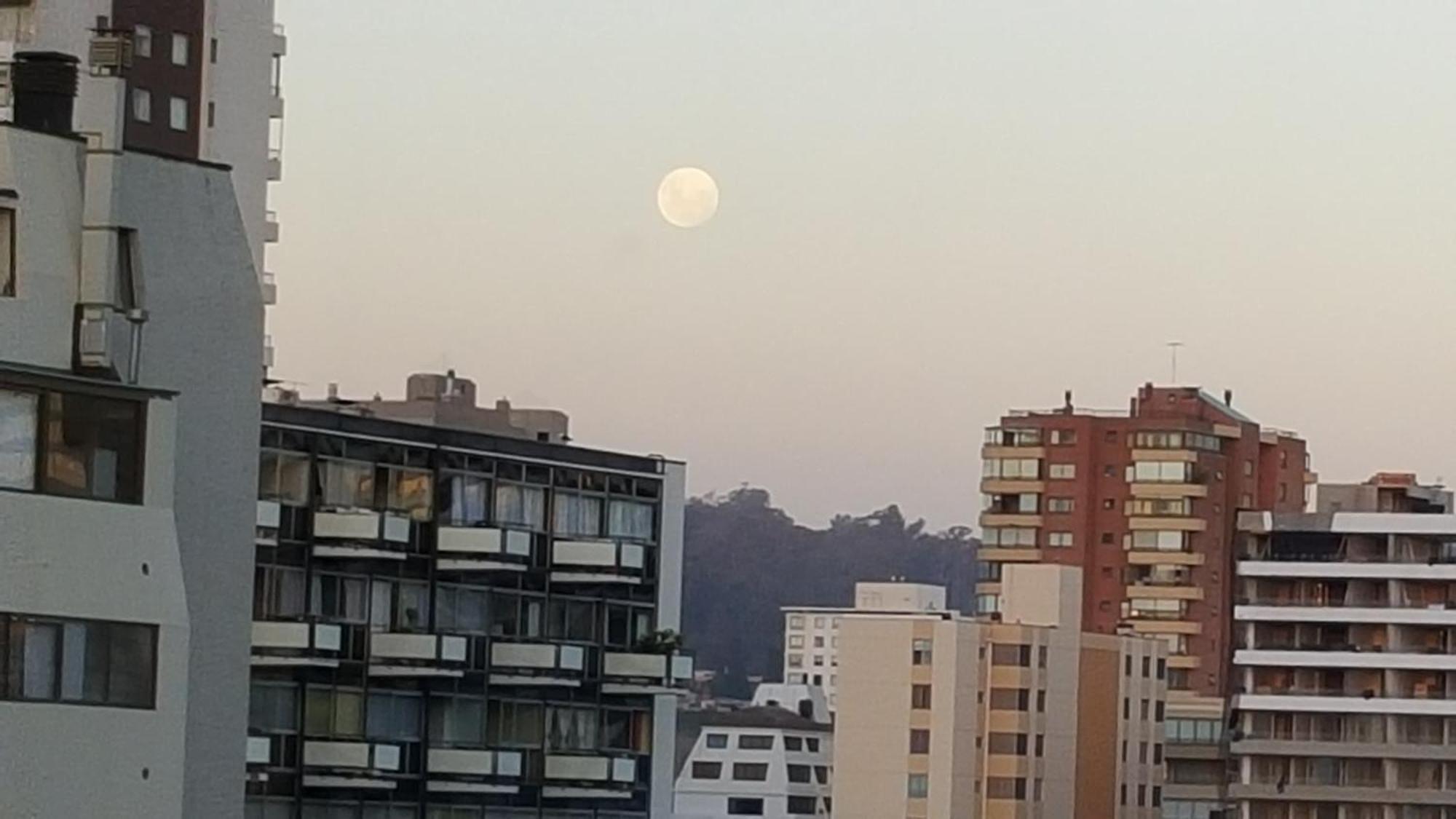 Edificio Maya 比尼亚德尔马 客房 照片